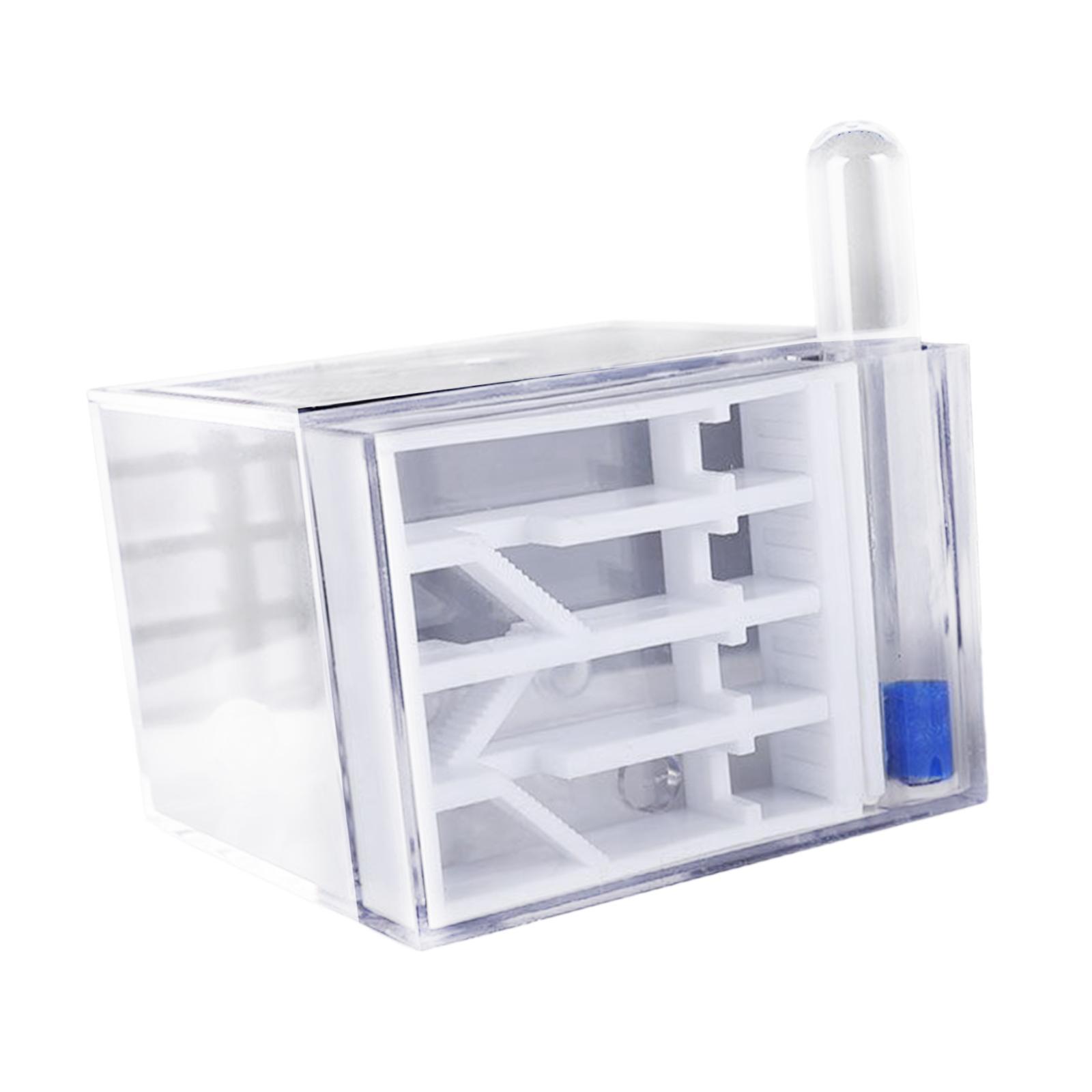 ANT Farm DIY Science Education - Home Decor Habitat ulasan dan harga