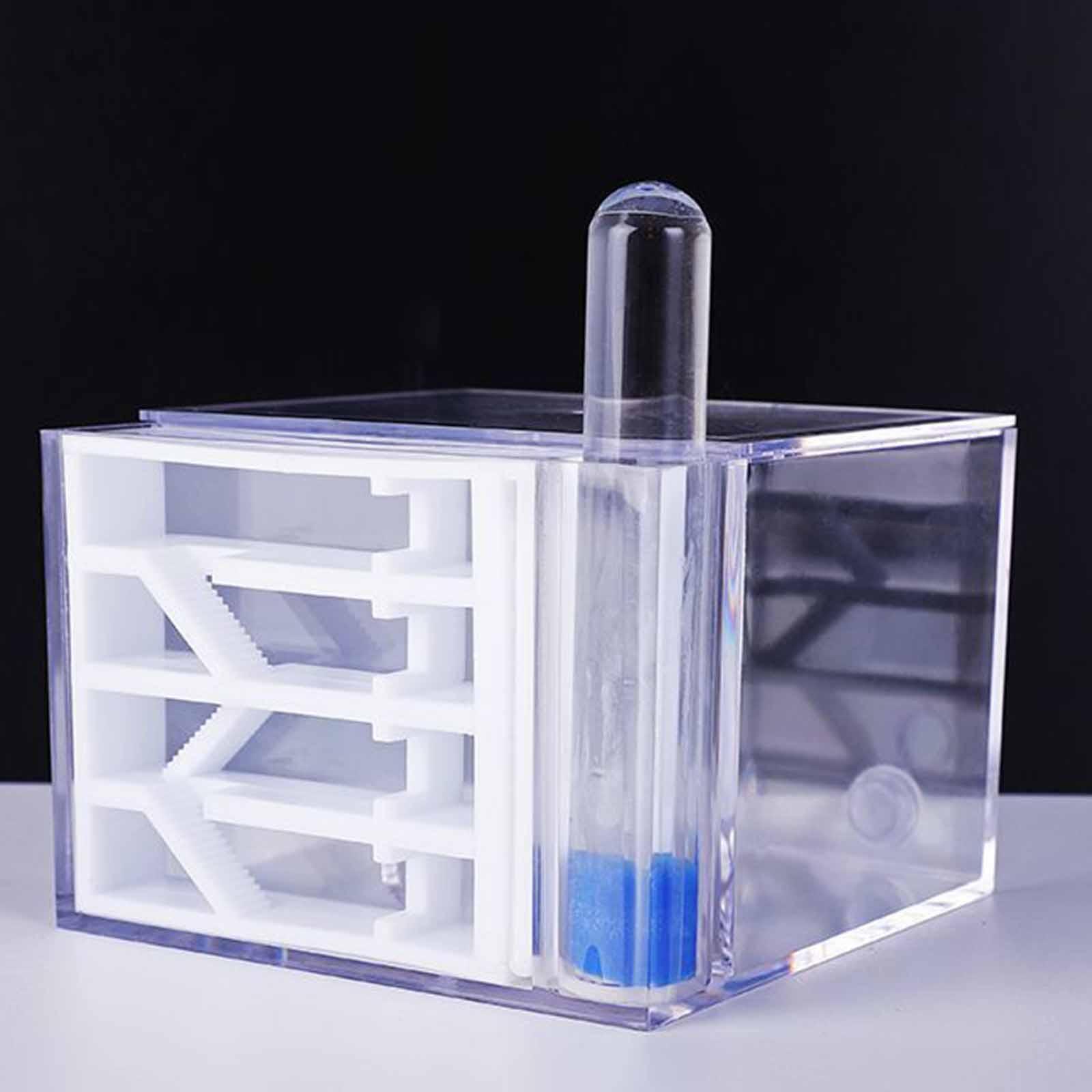 ANT Farm DIY Science Education - Home Decor Habitat ulasan dan harga
