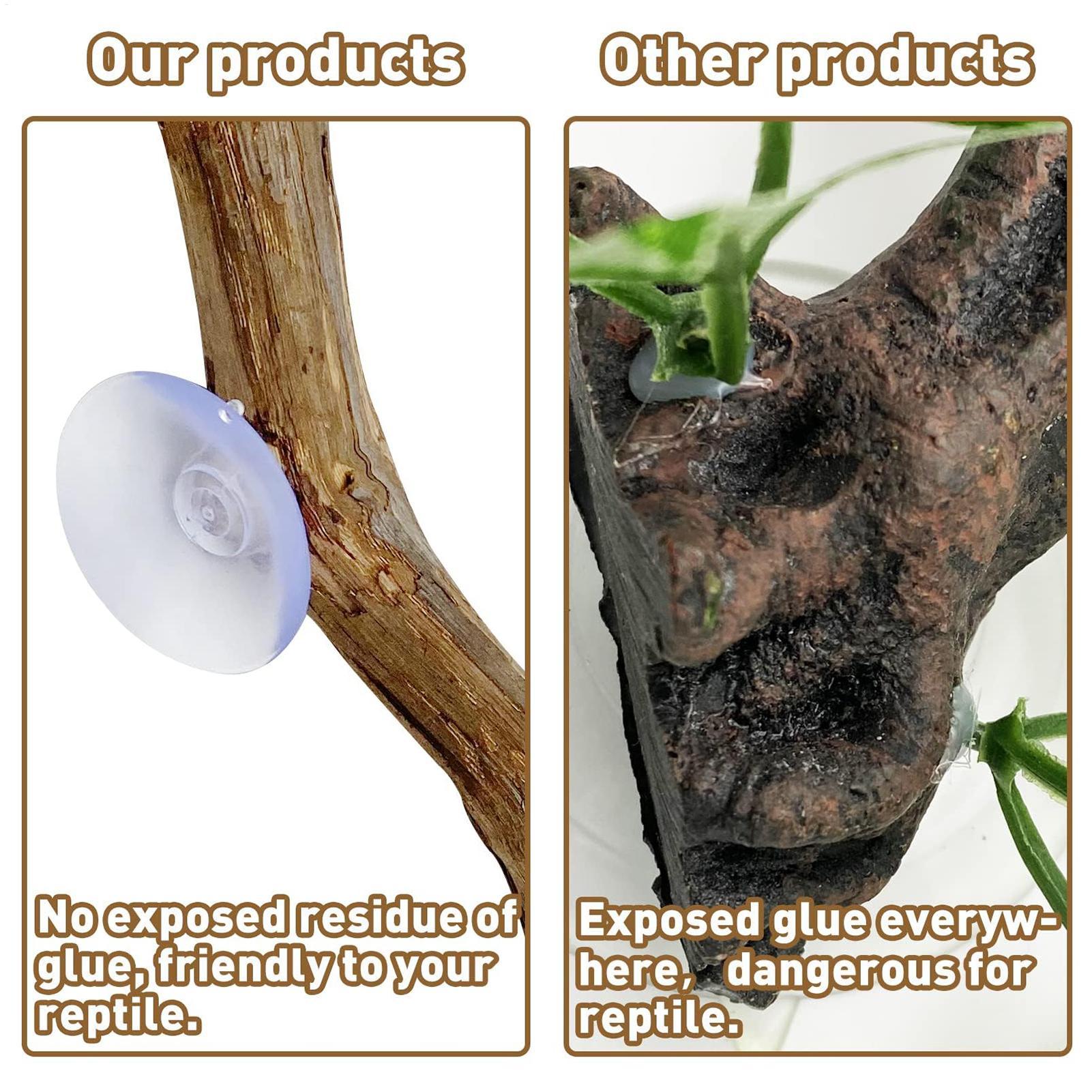Reptile Branch Unique Bearded  - Home Decor Habitat ulasan dan harga