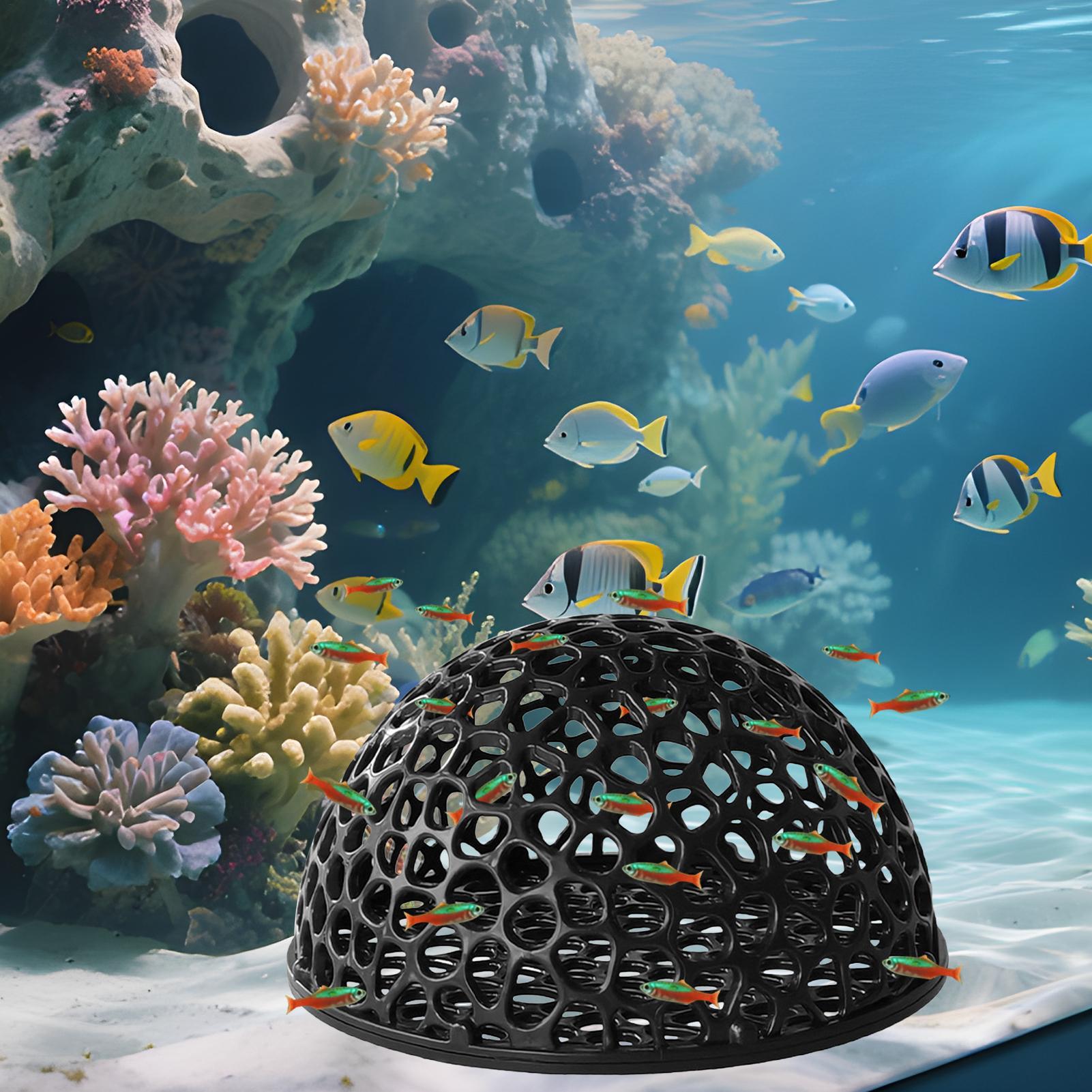 Shrimp Breeding Cave fish tank - Home Decor Habitat ulasan dan harga