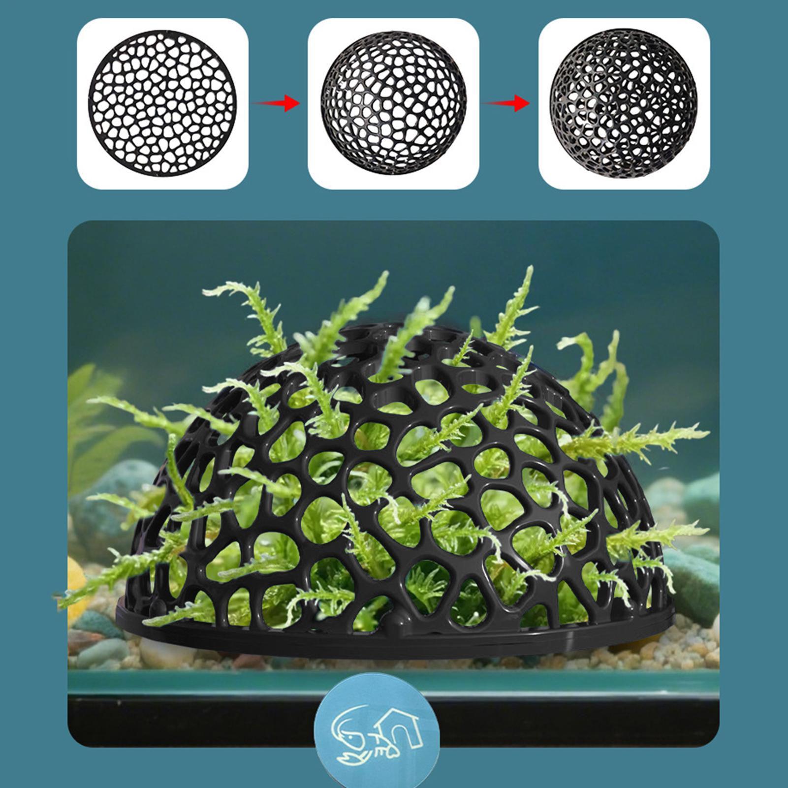 Shrimp Breeding Cave fish tank - Home Decor Habitat ulasan dan harga