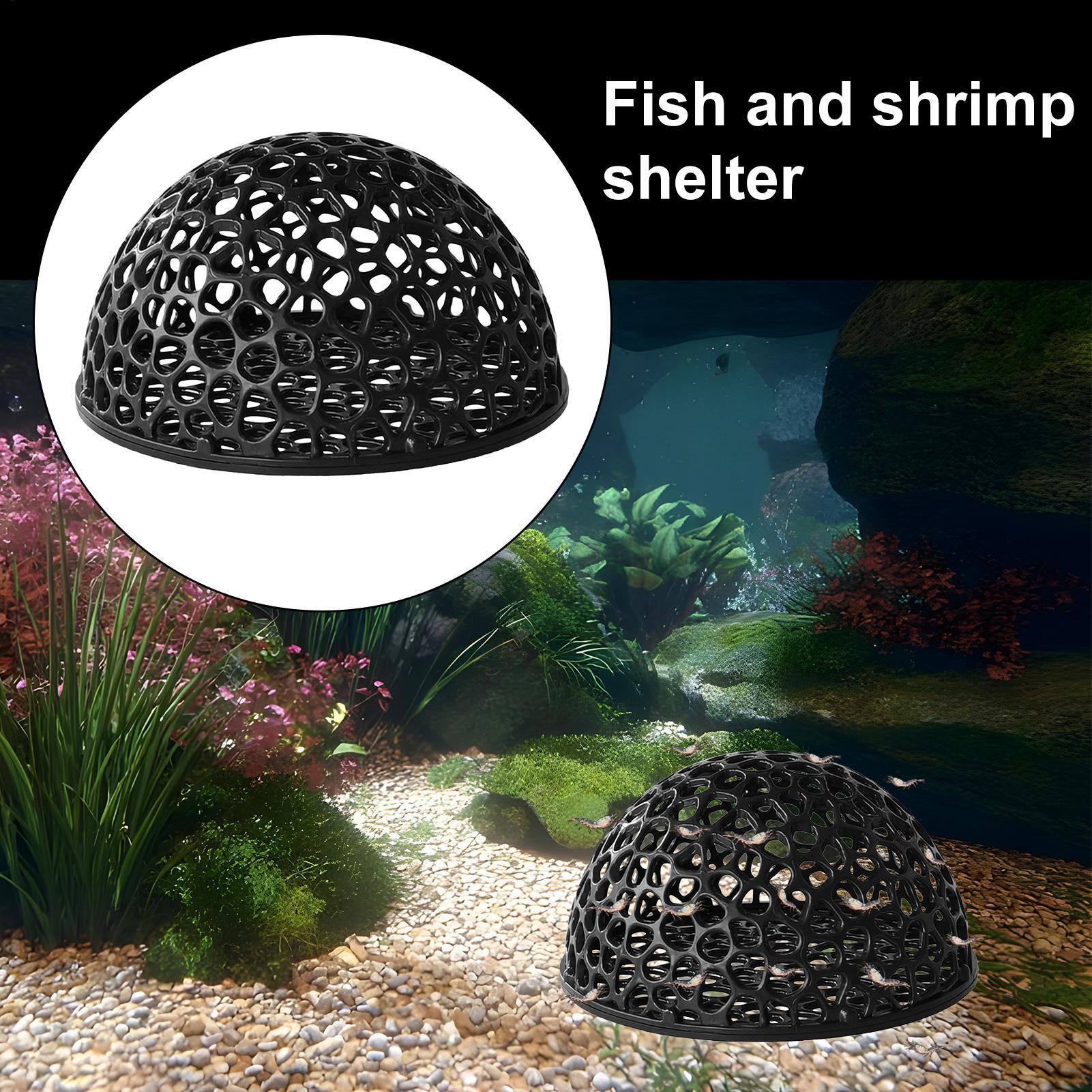 Shrimp Breeding Cave fish tank - Home Decor Habitat ulasan dan harga