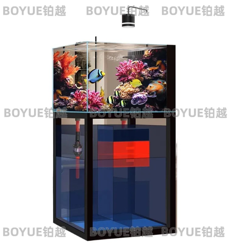 Ultra Clear Glass Saltwater Aq - Home Decor Habitat ulasan dan harga