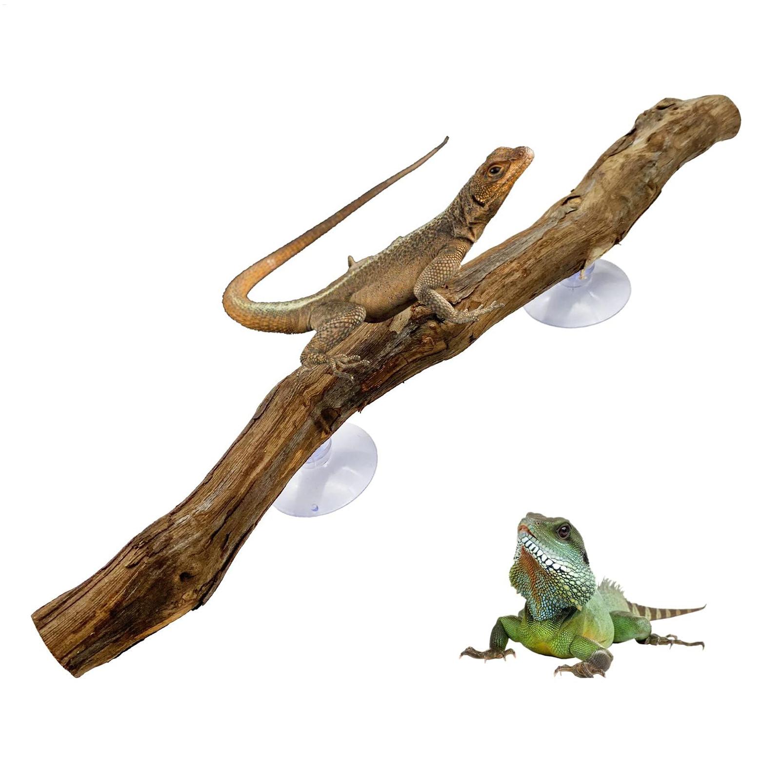 Reptile Climbing Corner Stick  - Home Decor Habitat ulasan dan harga