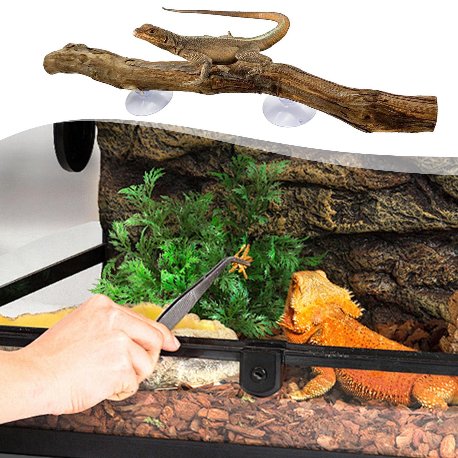 Reptile Climbing Corner Stick  - Home Decor Habitat ulasan dan harga
