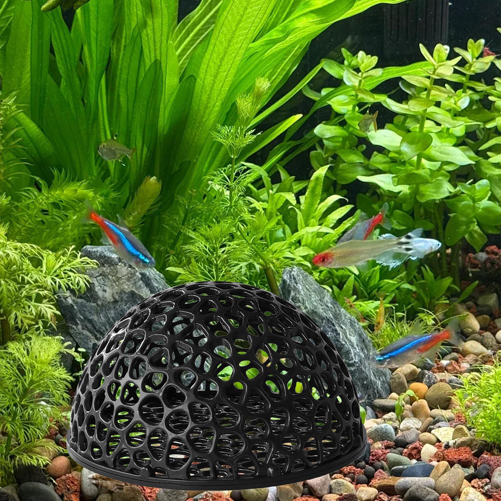 A  Shrimp Breeding Cave fish t - Home Decor Habitat ulasan dan harga