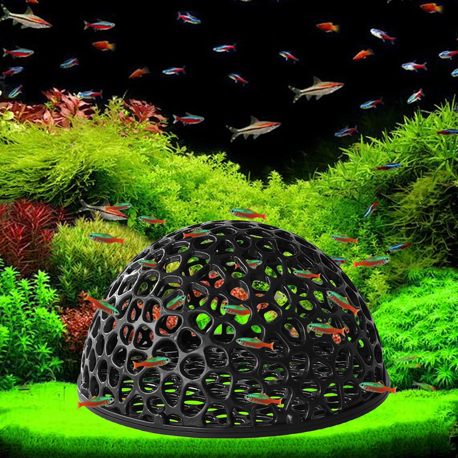 A  Shrimp Breeding Cave fish t - Home Decor Habitat ulasan dan harga