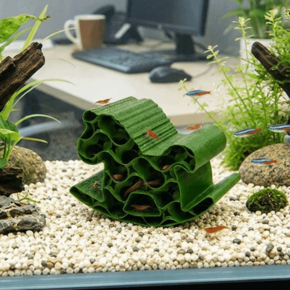 Creative 3D Printed Fish Hollo - Home Decor Habitat ulasan dan harga