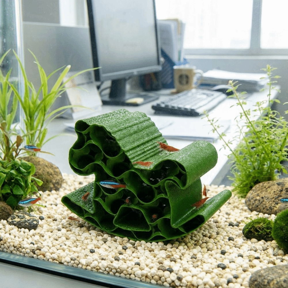 Creative 3D Printed Fish Hollo - Home Decor Habitat ulasan dan harga