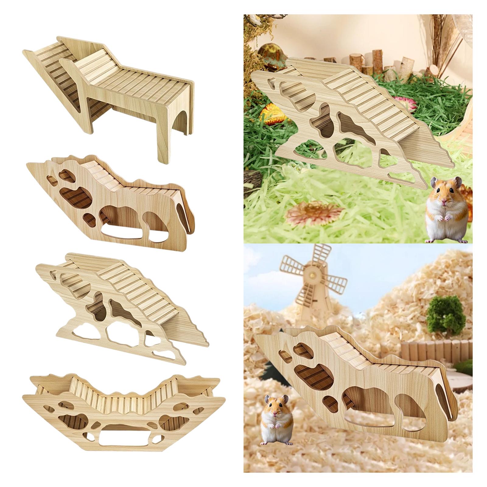 Hamster House and Habitat,with - Home Decor Habitat ulasan dan harga